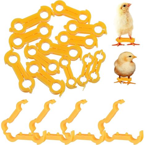 12-teiliges Beinkorrektor-Set für neugeborene Vögel, komfortables elastisches PVC-Band, gelber Beinstabilisator, verschiedene Größen für Jungvögel, einfach anzubringen (1/5)