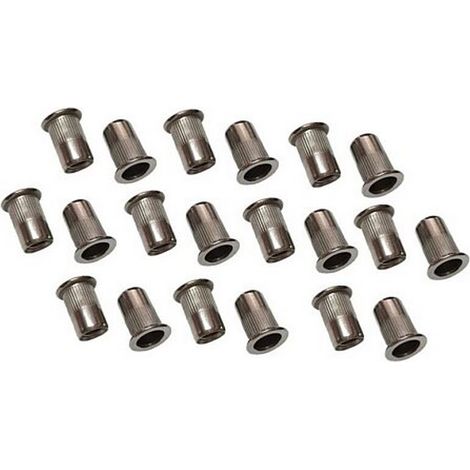 Sachet de 20 inserts filetes acier inox de m6