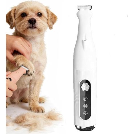 Leise Hundeschermaschine, professionell, mit LED Beleuchtung, Tierpflege, USB aufladbar, für Pfoten, Augen, Ohren, Gesicht, Körper (weiß) (1/5)