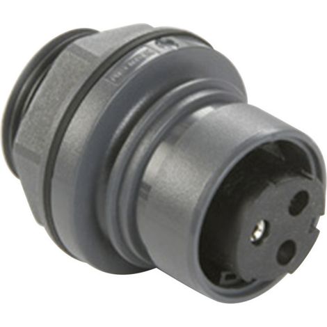 Bulgin PXP6012/02S/ST Rundstecker Buchse, Einbau Gesamtpolzahl: 2 Serie (Rundsteckverbinder): PXP  1