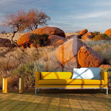 Papier peint paysage africain, namibie - 250 x 193 cm