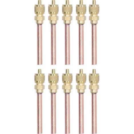 Vannes d'accès de remplissage de cvc 1/4SAE, 10 pièces, clapet anti-retour en laiton pour climatiseur R22 R12 R134.