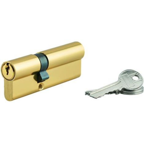 Cylindre de serrure double entrée 35x50 mm doré – 3 clés crantées – SP (1/2)