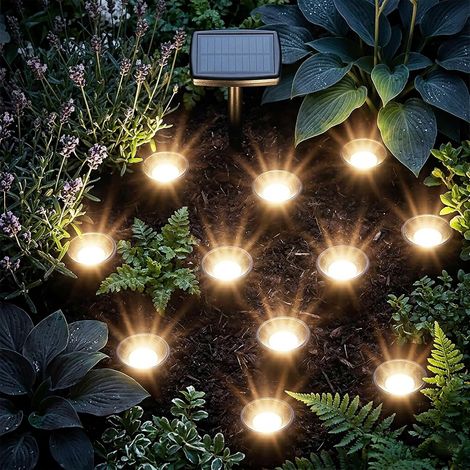 Projecteur LED solaire pour plantes petit - Lot de 10 - Mini lampes solaires avec piquet - Éclairage de jardin, balcon, terrasse, décoration, fleurs, projecteur, blanc chaud (1/5)