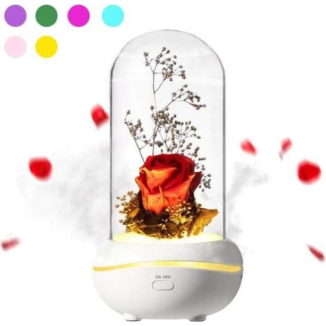 Diffuseur Huiles Essentielles - Rose Enchantée LED - Pour Chambre et Intérieur - 1 Pièce (1/2)