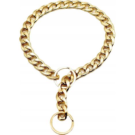 Collar para perro de metal chapado en oro, talla XL (1/5)