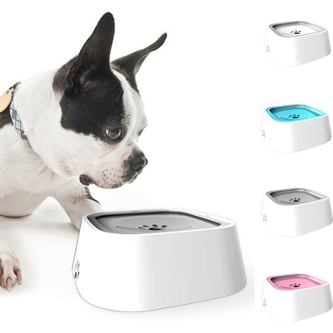 Filiyano-Gamelle d'eau anti-éclaboussures pour chiens et chats, bleue (1/2)