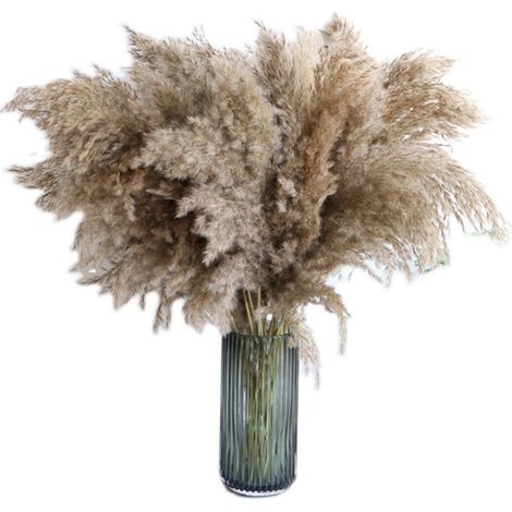Pampas Grass - 30 Pièces - Tiges Séchées Naturelles - Longueur 40 cm - Décoration Intérieure Boho et Ferme - Pour Vase et Aménagement Domestique (1/5)