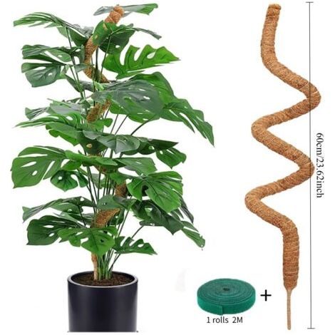Tuteur flexible en mousse, support pour plantes grimpantes, tuteur pour palmiers monstera, accessoires pour plantes en pot et jardins (1/5)
