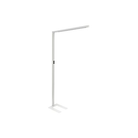 MAUL  Piantana a LED MAULplinus  sensore di movimento/luce  (1/3)