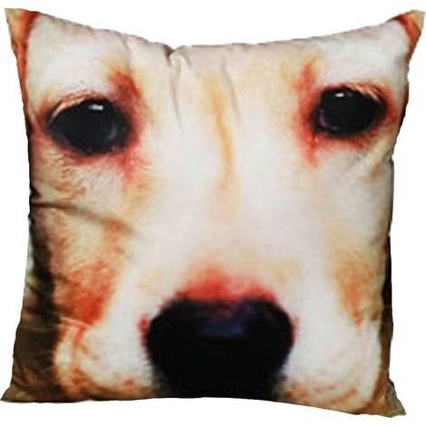 Coussin Carré Chien Déhoussable