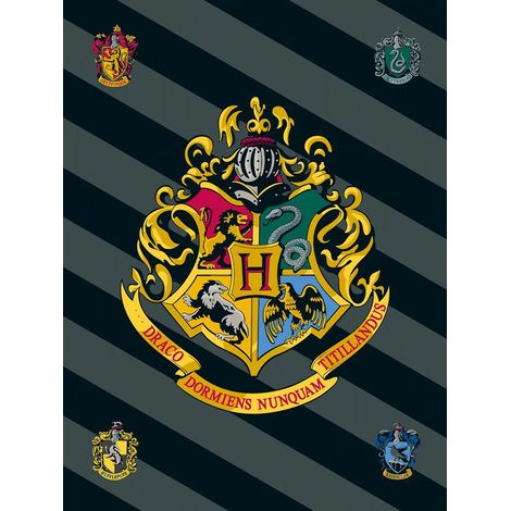 Coperta in pile 100x150 cm Harry Potter 0226, coperta per bambini