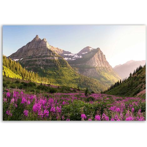 Tableau paysage de montagne fleuri et sommets majestueux (1/5)