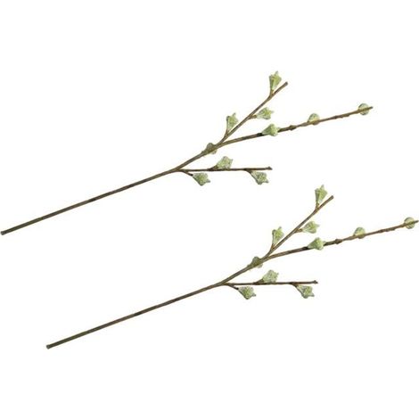 2 branches de fruits d'eucalyptus