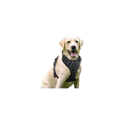 Harnais chien anti-traction noir, facile à mettre, réfléchissant, réglable, attache devant, pour chien moyen et large – (1/5)