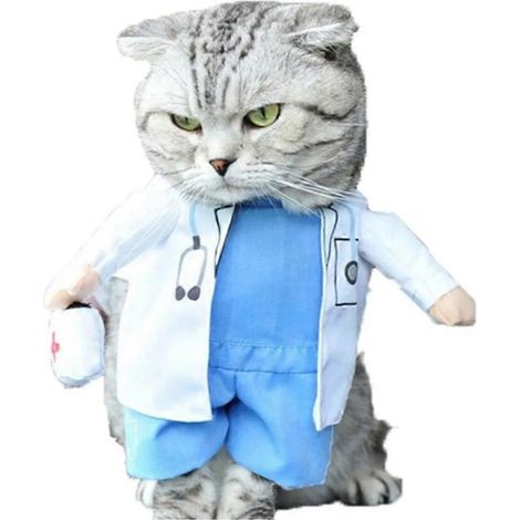 Vêtements pour animaux de compagnie - Vétérinaire pour chiens - Change de vêtements pour chats - XL (1/5)