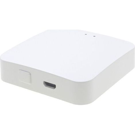 Passerelle ZigBee 3.0 sans fil Télécommande vocale compatible Alexa et Google Home Réseau stable et sécurisé Gestion via application Smart Life (1/5)