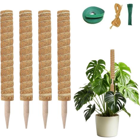 Support Plantes Monstera, 4 Pièces 40cm, Tiges en Coco Stakes, avec 2m Corde Jute, 2m Velcro et 20 Attaches, Extensible pour Jardin et Maison, Soutien pour Monstera (4) (1/5)