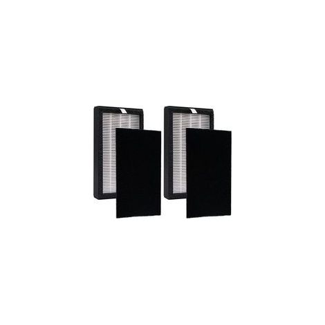 Lntyq Ensemble de filtres de rechange FLT4100 compatibles avec les purificateurs d'air GermGuardian AC4100 AC4100CA AC4150BL AC4150PCA AC4150PC AC4175W Filtre E, lot de 2 H13 HEPA (1/5)