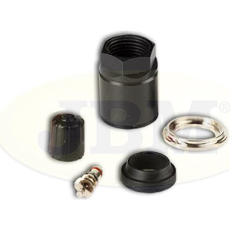 REMPLACEMENT DU KIT TPMS VDO TG1B  JBM12903