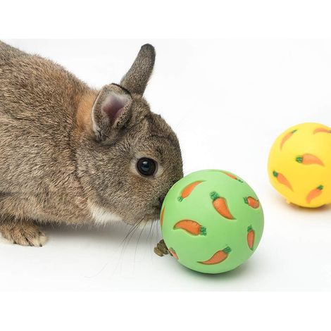 Balle à friandises, balle à goûter pour petits animaux, balle à friandises pour lapins, gamelle anti-glouton, jouet d'enrichissement résistant aux morsures, distributeur de friandises, aliments qui fu (1/5)