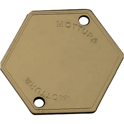 MOSTRINA COPRIFORO ART.95146 finitura ottonata - MOTTURA