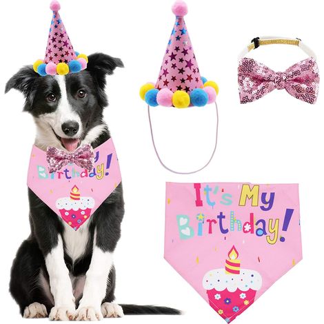 Bandana, foulard et chapeau de fête d'anniversaire pour chien (garçon ou fille) avec nœud papillon mignon, pour chiens de petite et moyenne taille.