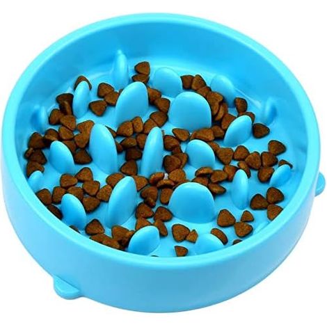 Gamelle pour chien Slow Food, écologique, durable, non toxique, anti-étouffement, design sain pour votre animal de compagnie (bleu) (1/4)