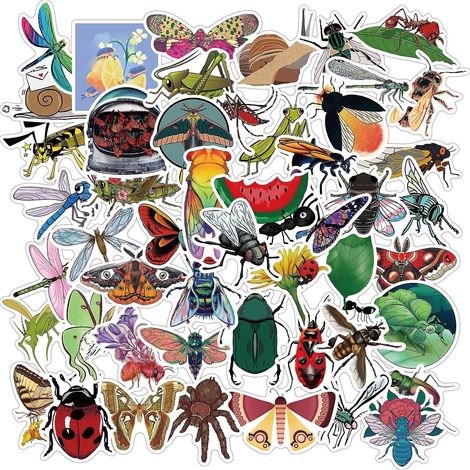 autocollants Pack 50 Pcs Vinyle Graffiti Stickers Pour Ordinateur Portable Voiture Planche  Roulettes Moto Vlo Bagages Pare-chocs Bombe Autocollan (1/5)