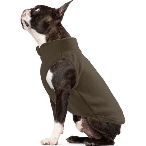 Longziming - Combinaison de récupération pour chien M – Combinaison de récupération postopératoire pour mâles et femelles – Douce et respirante – Alternative confortable à la collerette après une inte (1/5)