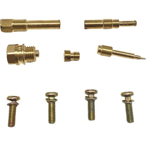 Kit de réparation carburateur - référence T100 (1/4)