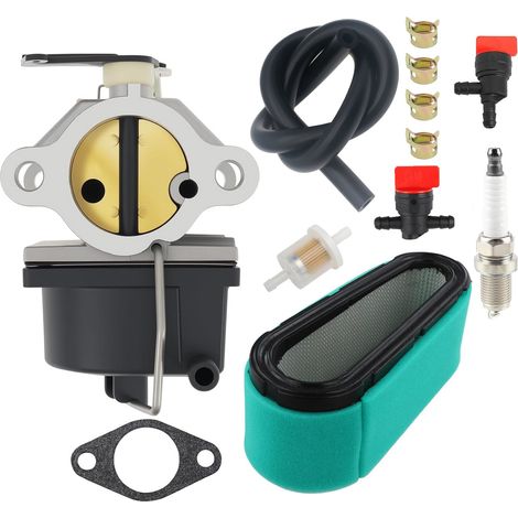 Carburateur OHV125, OHV130, 640065A, OHV110, OHV115, OHV120, filtre air 36356 (1/5)