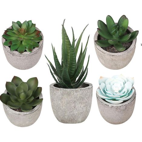 5 Pices Pte Artificielle Succulente Bonsa Dcoration De La Maison Simulation Plante Succulente Bonsa Ensemble (1/4)