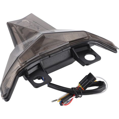 Hochleistungs-LED-Motorradrücklicht, getönter Blinker DC12V für Kawasaki Z1000/ZX-10R Ninja 400 (1/5)