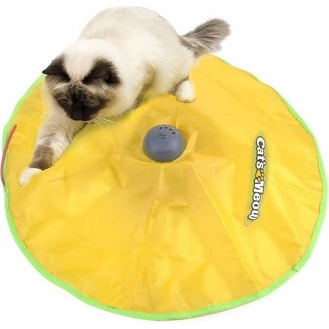 Jouet pour Chats Automatique Jeux Jouet Interactif pour Chaton Rotatif Attraper Souris en Mouvement (1/5)