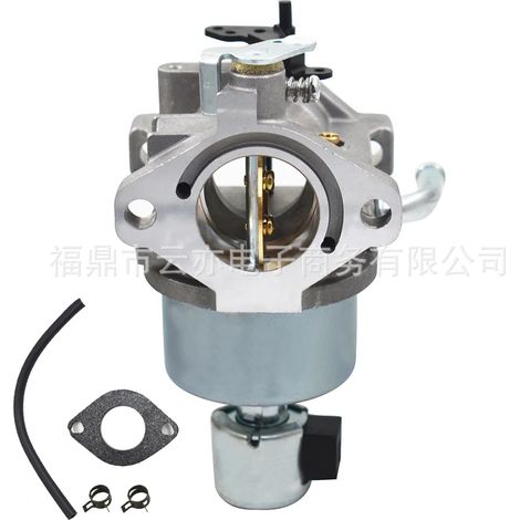 Carburateur compatible avec Briggs & Stratton 594605 792768 591734 594603 791886 698620 690194 (1/5)