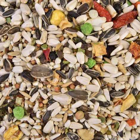 Mezcla de frutos secos exóticos Wagner's para todos los loros 1 kg (1/3)