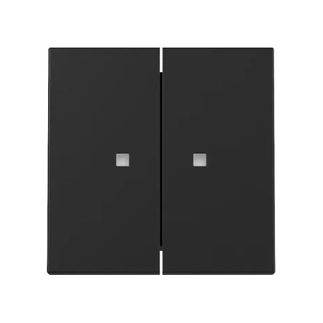 Gira Wippe 2f Kontrollf. System 55 Schwarz m [3631005], 3631 005