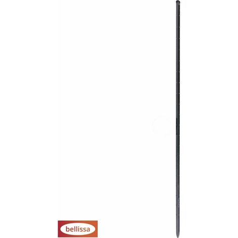 Bellissa Pflanzstab Timo Ø 3 x 180 cm grün (1/2)
