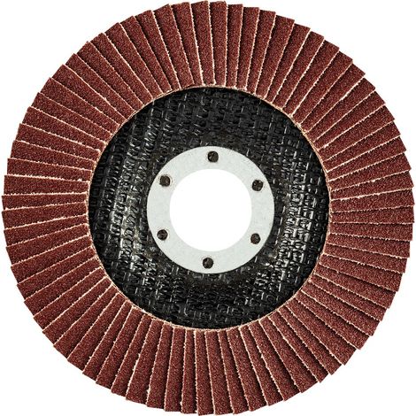 Disque à lamelles 115 x 22,2 mm, K120