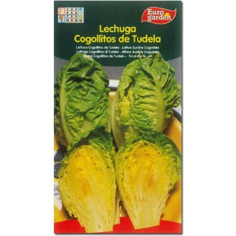 SEMILLAS FITO HORTICOLAS LECHUGA  COGOLLITOS DE TUDELA=02003