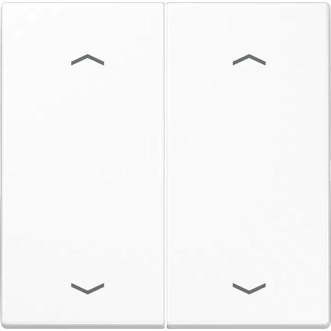 Jung Wippe Symbole aws für Taster 2-fach LS 995 MP WW (1/2)