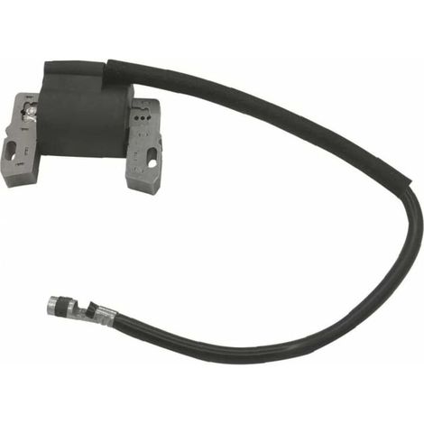 royaluxe - Bobine d'allumage compatible avec Briggs & Stratton 490586 491312 492341 495859 591459 690248 Moteur (1/4)