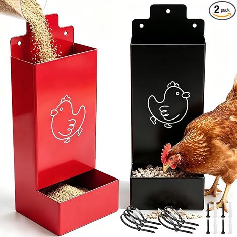 mangeoires automatiques pour poules, en métal, montage mural, pour cailles, poussins, volailles (1/5)
