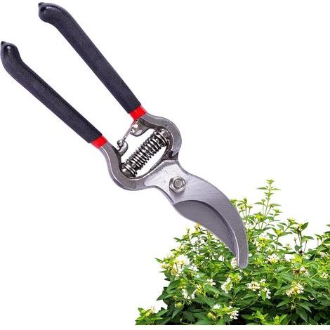 Fiori Anleitungen für Topfpflanzen Für Garten Für Garten (1/5)