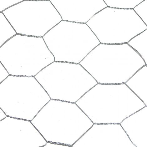CENTRALE BRICO Grillage pour animaux triple torsion gris, H.1 x L.10 m, maille H.40 x l.40 mm