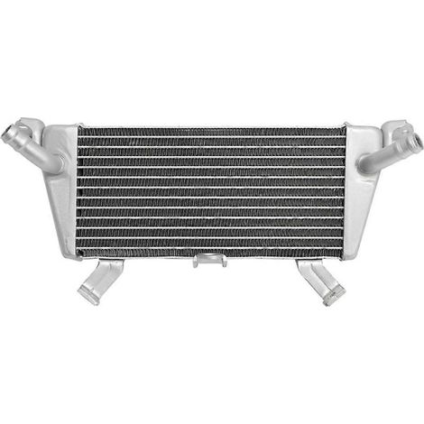 Ölkühler kompatibel mit BMW S1000RR 2019-2025, S1000XR 2020-2025, M1000RR 2021-2025, M1000R 2023-2025 und M1000XR 2024-2025 (1/5)