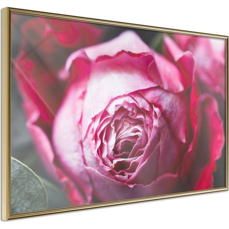 Affiche Murale Encadrée "Blooming Rose" 30 x 20 cm Or