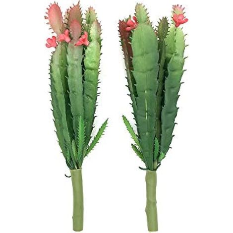 Lot de 2 mini plantes artificielles artificielles non potées Faux plantes artificielles pour décoration de jardin, décoration de maison Mini Cactus (1/5)