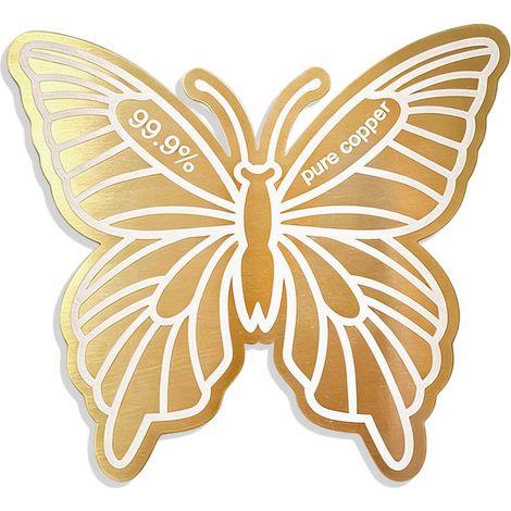 Disque en Cuivre pour Bain Oiseaux,Abreuvoir Oiseaux Forme Papillon (1/5)